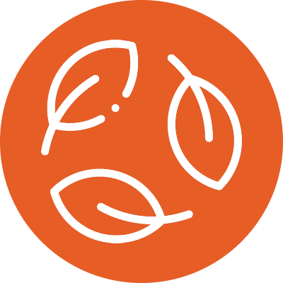 best-tobacco-native-smokes-smokeway - Smokeway Three tobacco leaves icons on orange background