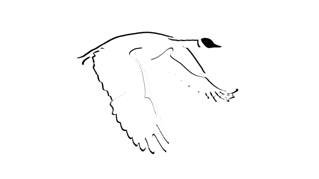 Canadian Goose cigarettes official logo on transparent background