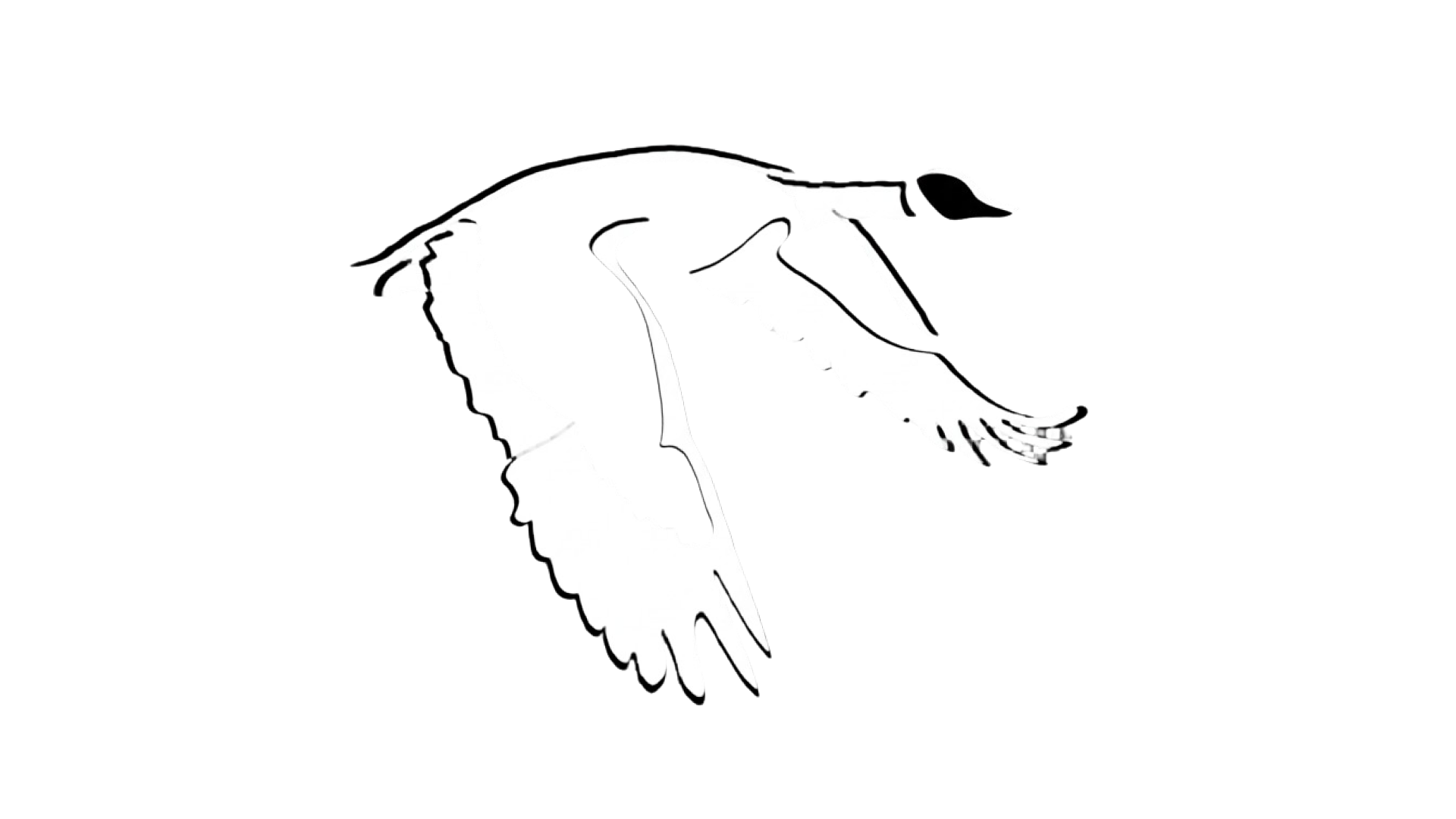 Canadian Goose cigarettes official logo on transparent background