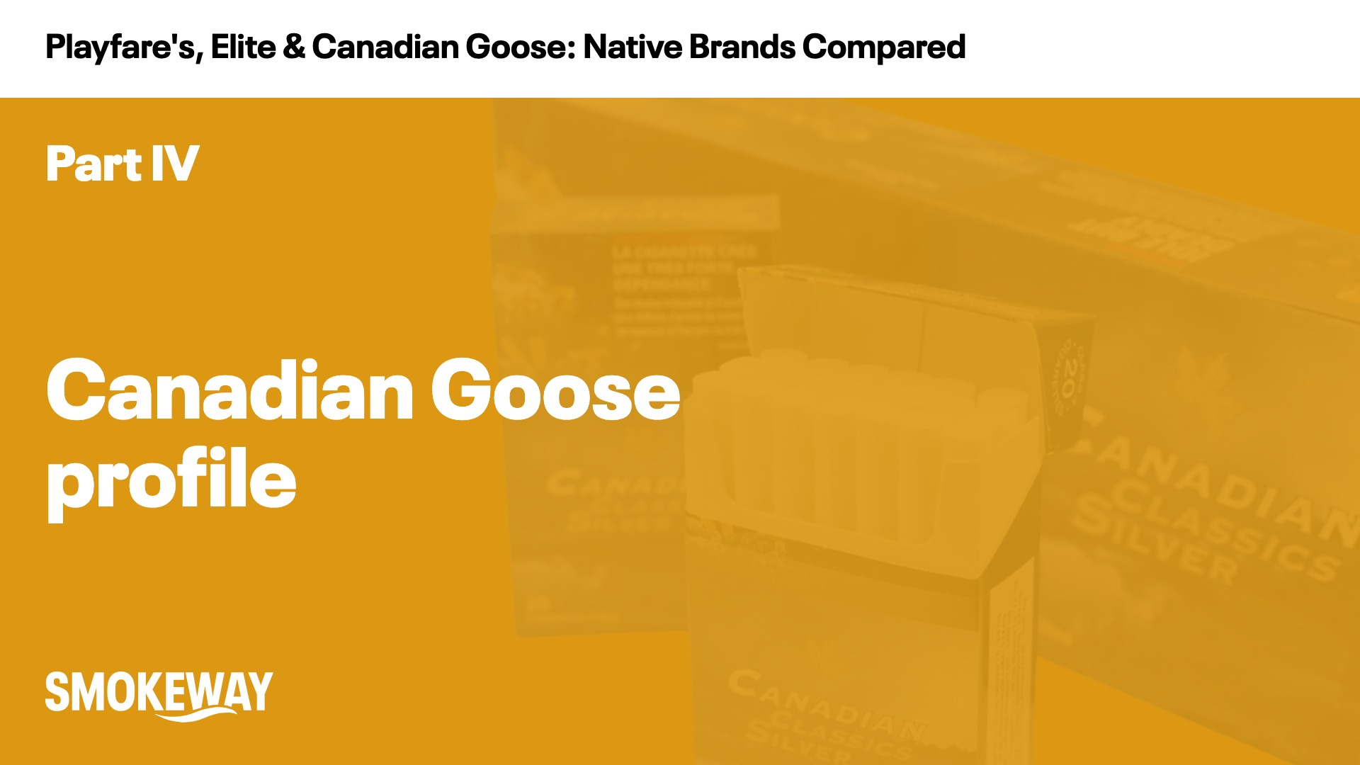 Canadian Goose profile