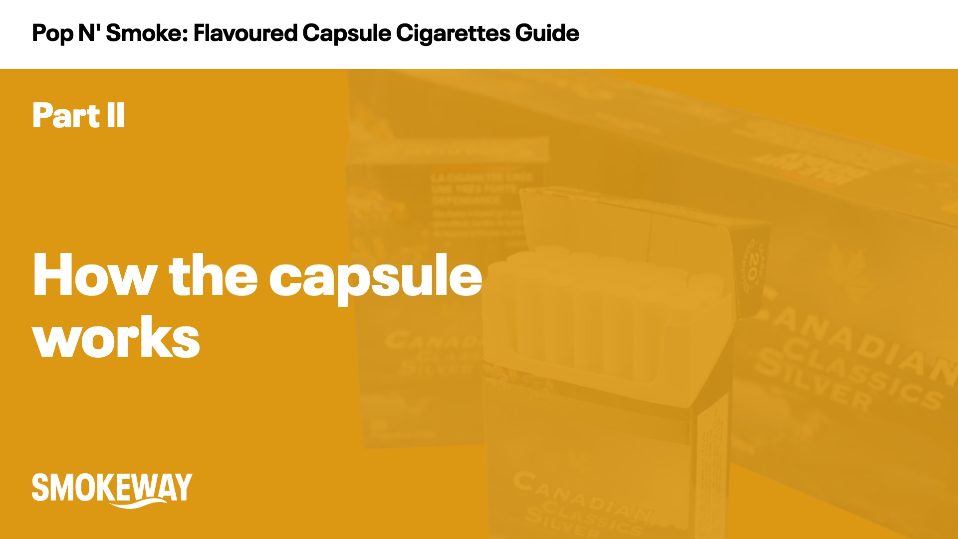How the capsule works