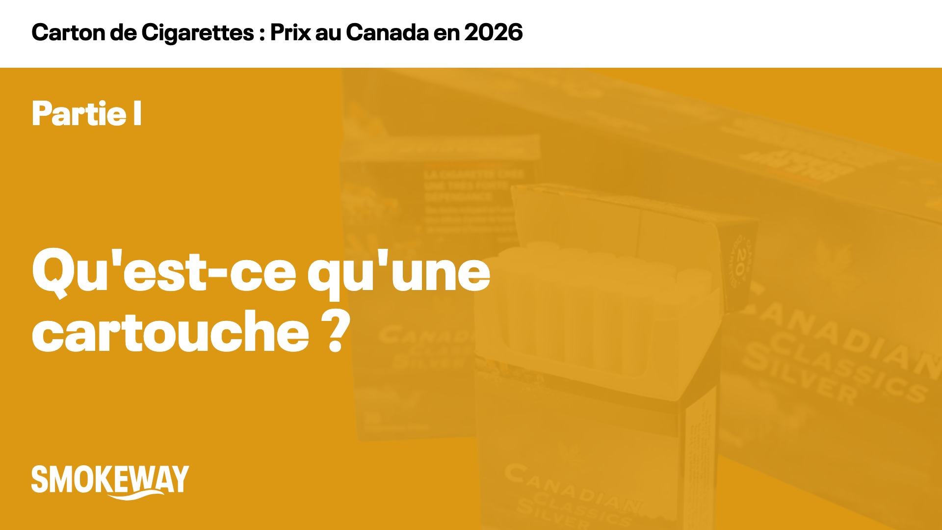 Qu'est-ce qu'une cartouche ?